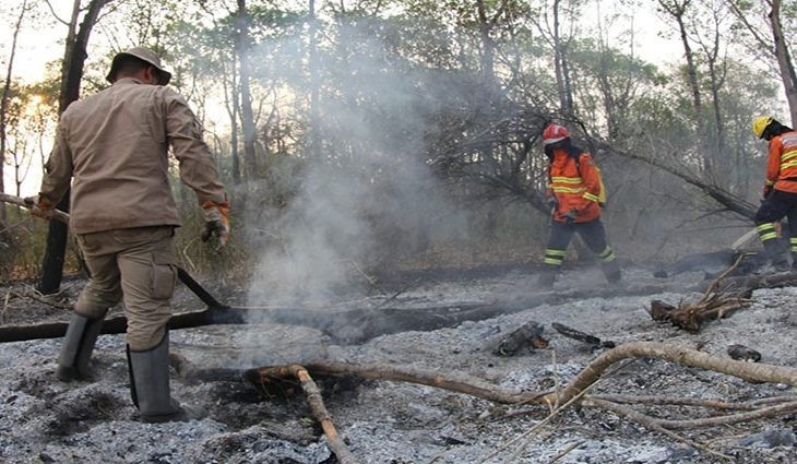 União declara estado de emergência ambiental em Mato Grosso do Sul