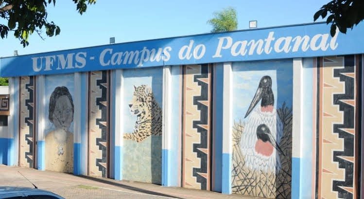 Contra a meritocracia, professor da UFMS critica menção honrosa a estudantes que se destacaram nos estudos