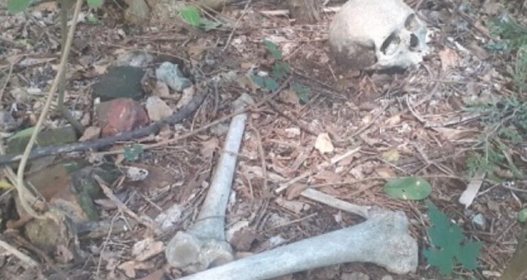Trabalhador encontra ossada humana às margens de rodovia em MS