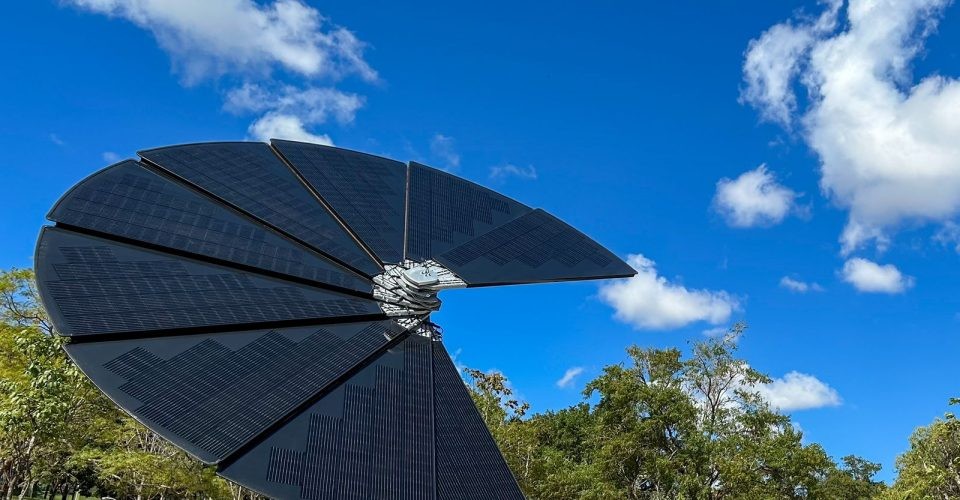 1° Flor Solar do Mato Grosso do Sul é inaugurada no Parque das Nações Indígenas