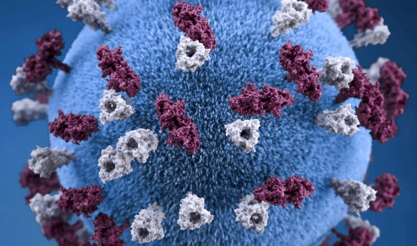 Ômicron XE: Brasil registra primeiro caso da cepa mais contagiosa da covid