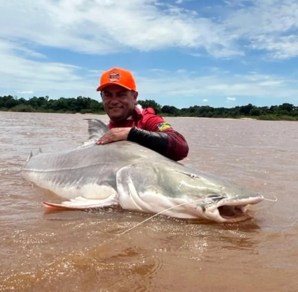 VÍDEO: Guia pesca “tubarão de água doce” de 120 kg e 2,2 metros em Bandeirantes