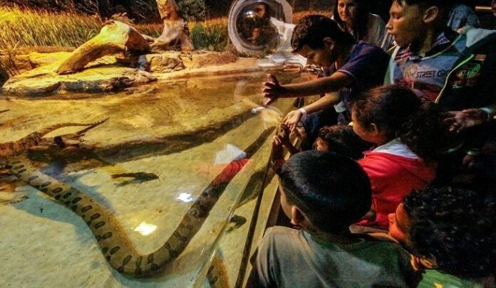 Bioparque já recebeu mais de 13 mil visitantes desde a abertura