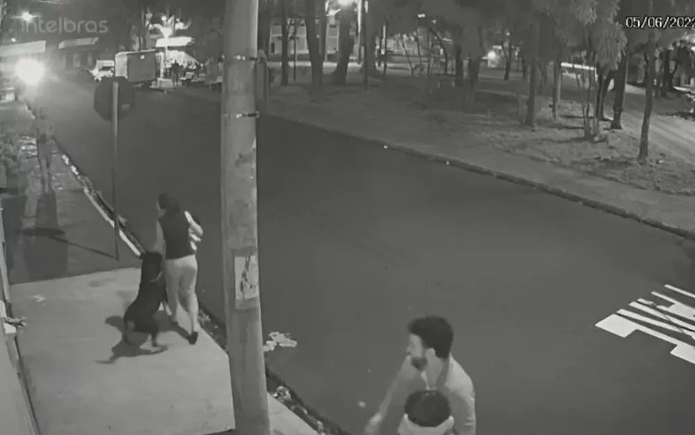 VÍDEO: Rottweiler pula de carro em movimento e ataca mulher que passeava com cão e filho de 3 anos