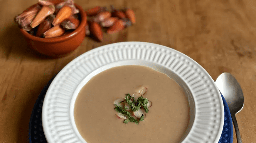 Inverno junino: aprenda fazer uma deliciosa sopa cremosa de pinhão