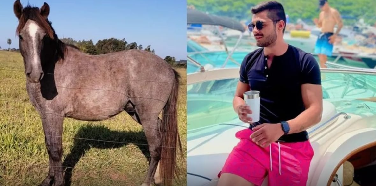 Só acontece no MS: Jovem compra cavalo sem querer em leilão pela internet