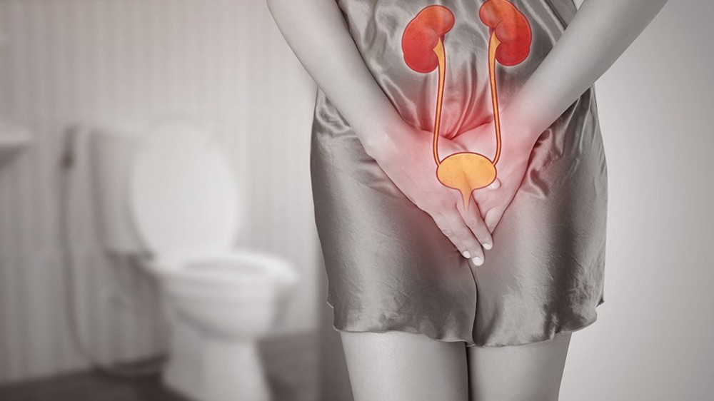 Infecção urinária de repetição: “patologia é mais comum nas mulheres”, explica especialista