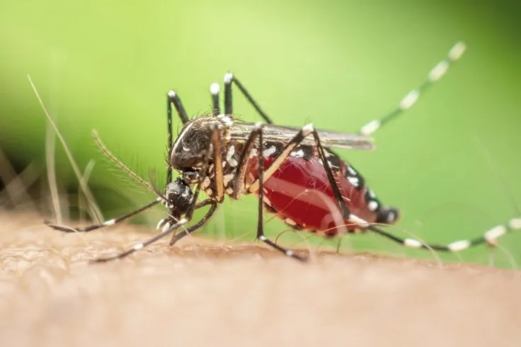 Corumbá registra morte de adolescente com suspeita de dengue e caso pode ser o primeiro de 2026 em MS