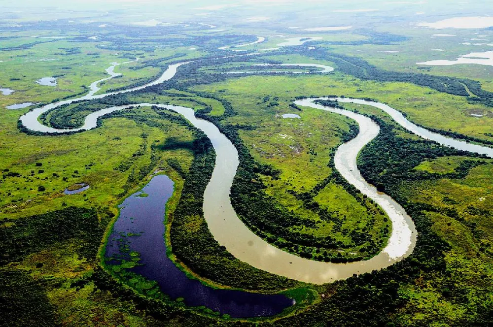 Pantanal reduz desmatamento quase pela metade, mas ainda perde mais de 12 mil hectares por ano