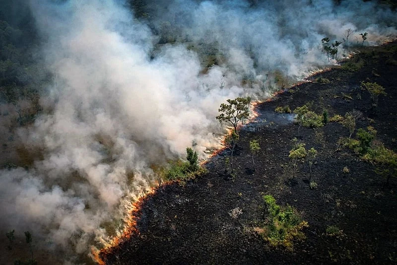 Temendo nova temporada de incêndios, Riedel decreta emergência ambiental por 180 dias em MS