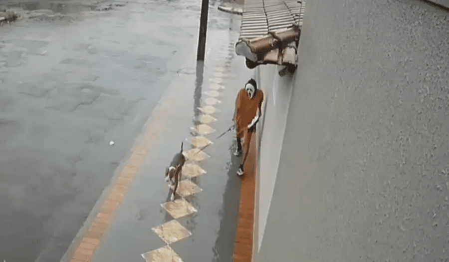 Com máscara do 'Pânico', homem passeia com Pitbull e assusta moradores