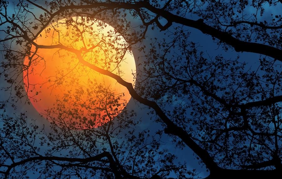 Céu do mês: outubro terá duas chuvas de meteoro e a ‘Lua do Caçador’