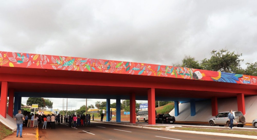 Viaduto da UFMS está pronto em homenagem às araras