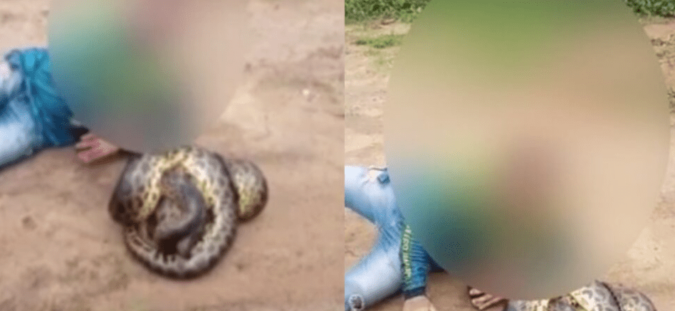 VÍDEO: Pescador 