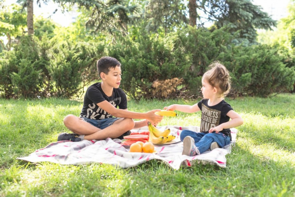Como conservar alimentos durante passeios no verão?