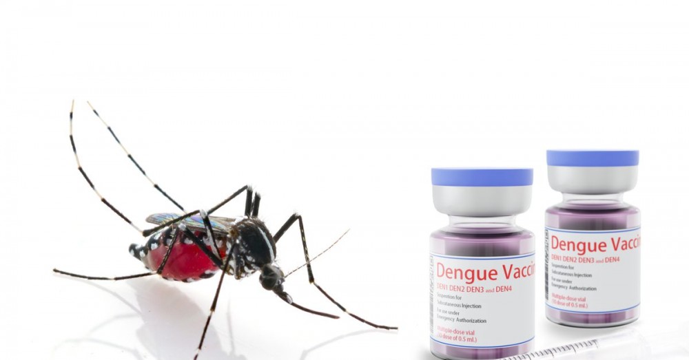 Vacina contra a dengue Qdenga chega a clínicas particulares no Brasil, enquanto a rede pública aguarda