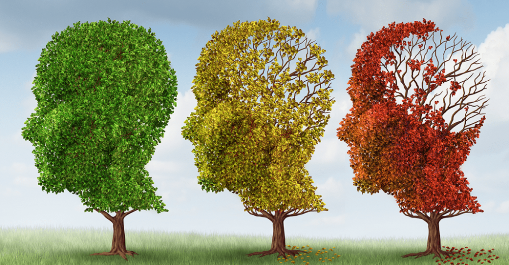 Lúpus, fibromialgia e Alzheimer são doenças que quando tratadas adequadamente garantem qualidade de vida ao paciente