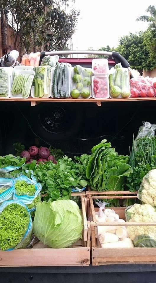 Thamires começou vendendo verduras em carroceria de carro e hoje é empresária de sucesso em Campo Grande