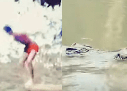 Bolsonaro posta vídeo tomando banho com jacarés e anima apoiadores: 