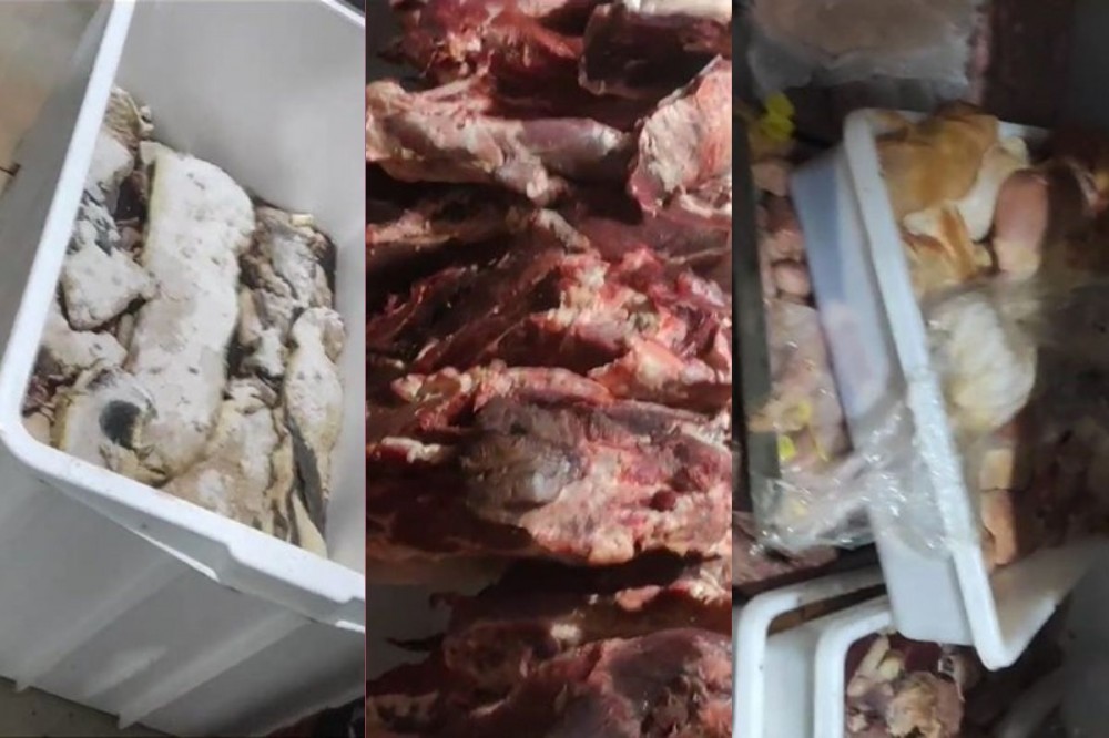 VÍDEO: Fiscais encontram carne 
