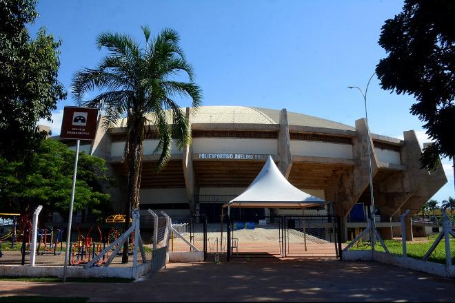 Jovens são presos por introduzir cabo metálico no ânus de cavalo